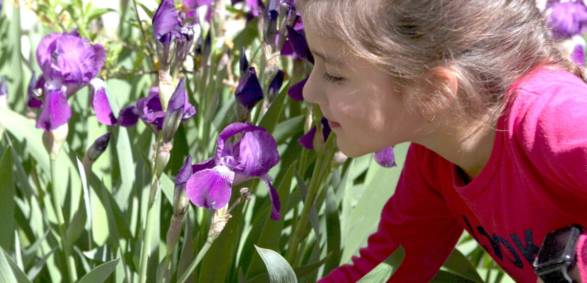 Пенсіонерка та двоє дітей продають квіти, щоб підтримати ЗСУ
