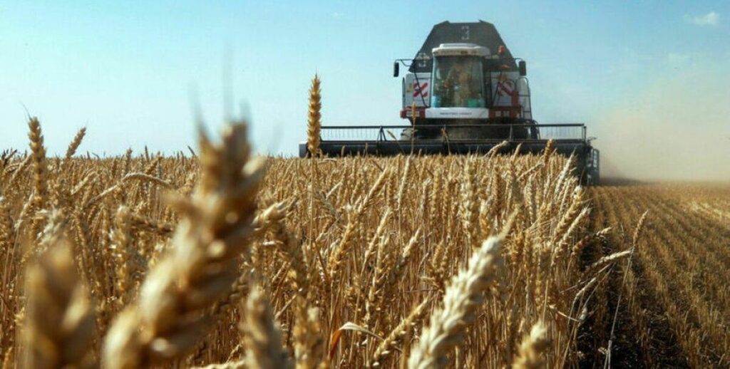 Аграрії Вінниччини готові експортувати близько 1,75 мільйона тонн зерна
