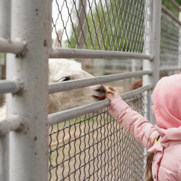 У Вінниці для дітей-переселенців провели екскурсію у Подільському зоопарку