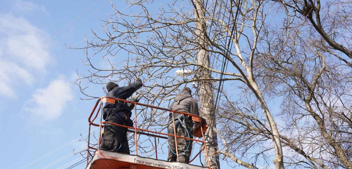 Цьогоріч весняну обрізку дерев провели на 30-ти вулицях Вінниці