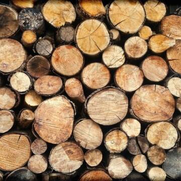 Вінничан просять купувати дрова у лісництвах, аби не потрапити на гачок шахраїв