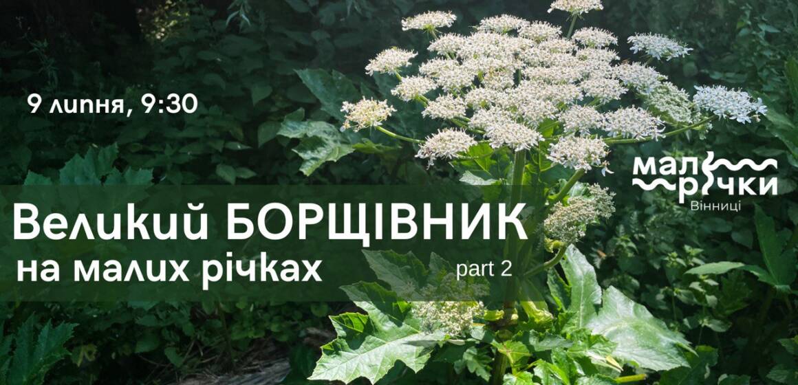 «Великий борщівник на малих річках»: вінничан запрошують долучитись до боротьби з інвазійною рослиною