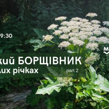 «Великий борщівник на малих річках»: вінничан запрошують долучитись до боротьби з інвазійною рослиною