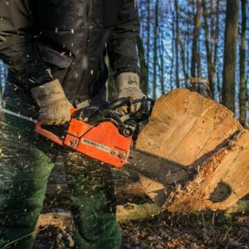 На Вінниччині чоловік незаконно зрізав 13 дерев