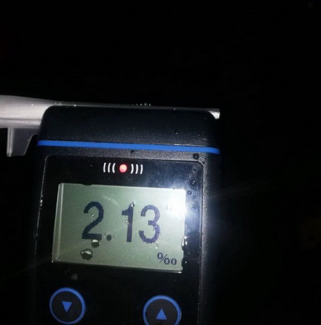 Рівень алкоголю в організмі в 11 разів перевищував допустиму норму: у Вінниці зупинили нетверезу водійку