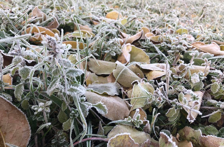 На Вінниччині прогнозують заморозки на ґрунті