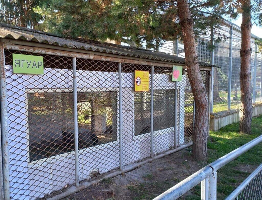 У Подільському зоопарку у Вінниці активно готуються до холодів