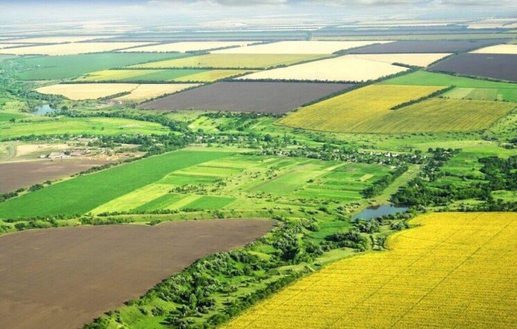 На Вінниччині до державної власності повернуто земельну ділянку навчального закладу площею 2,43 га