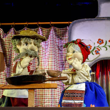 Створіть дитині свято: Ляльковий театр Вінниці запрошує на передноворічні  вистави