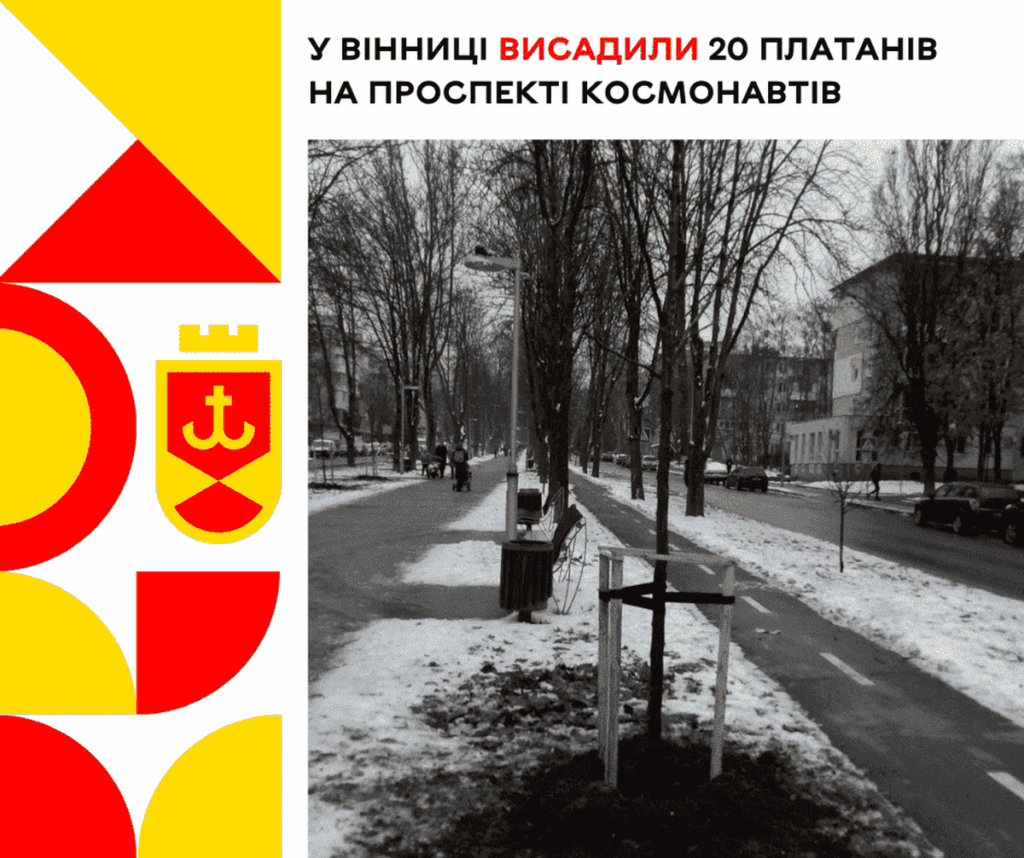 У Вінниці висадили 20 платанів на проспекті Космонавтів