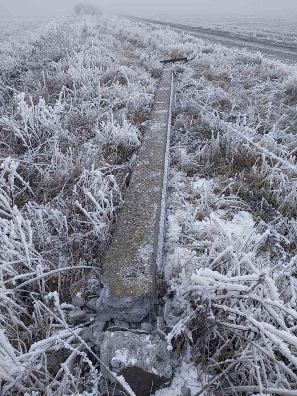 У Вінницькій області 119 населених пунктів без світла через обледеніння