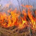 Рятувальники ліквідували чотири пожежі на Вінниччині