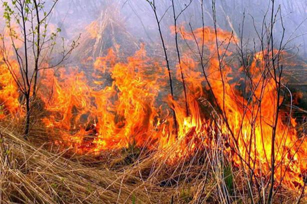 Рятувальники ліквідували чотири пожежі на Вінниччині