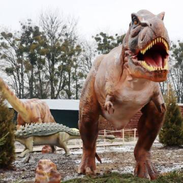 У Вінниці відновить роботу Парк Динозаврів