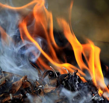 У Вінниці «Муніципальна варта» проводитиме рейди  по виявленню випадків спалювання відходів рослинного походження  