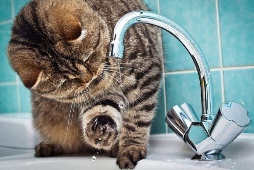 На яких вулицях Вінниці тимчасово не буде води?