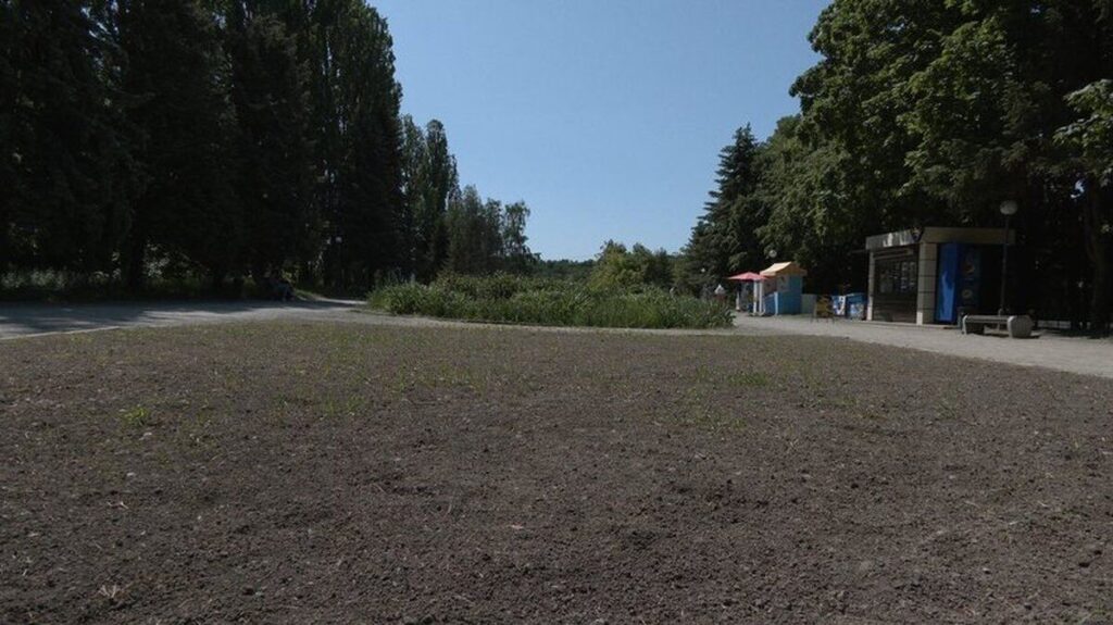 У Вінниці вперше засіяли декоративні луки