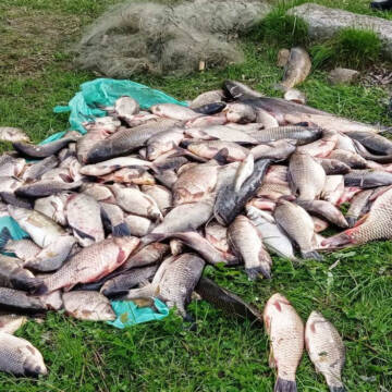 220 кг риби, 5 човнів та сітки: поліцейські Вінниччини задокументували два факти браконьєрського вилову