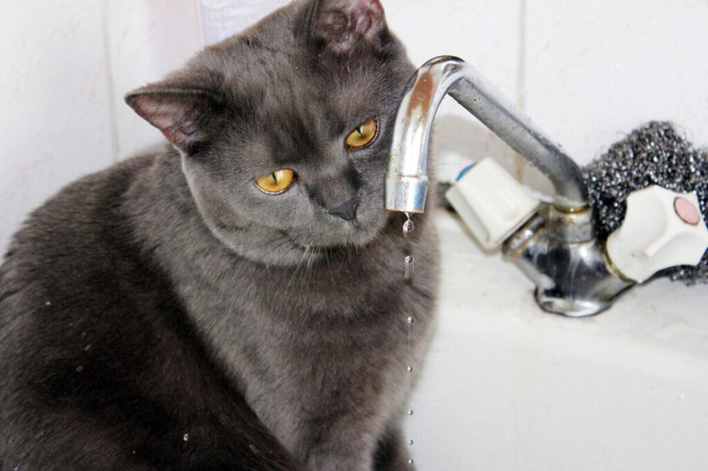 На яких вулицях Вінниці не буде води?