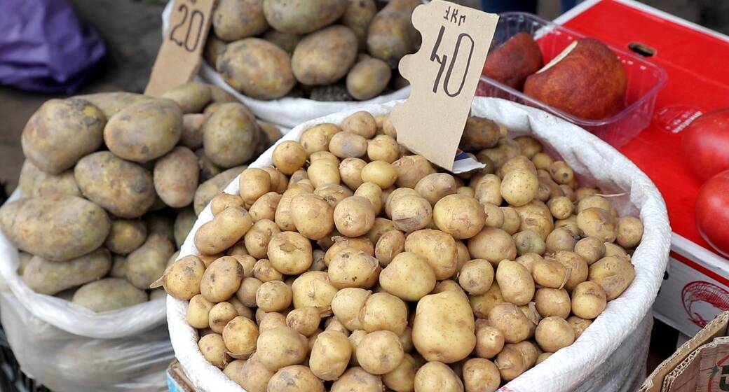 Сезон молодої картоплі: які ціни у Вінниці