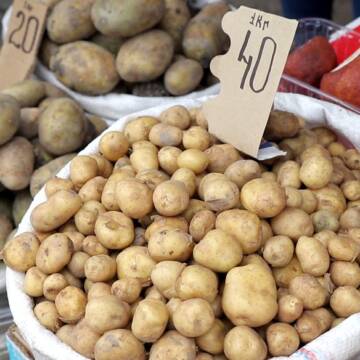 Сезон молодої картоплі: які ціни у Вінниці