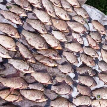 На Вінниччині виявили майже 100 фактів незаконного вилову риби