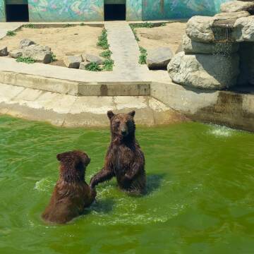 Куточок для любителів тварин: вінницький зоопарк чекає гостей. Фото