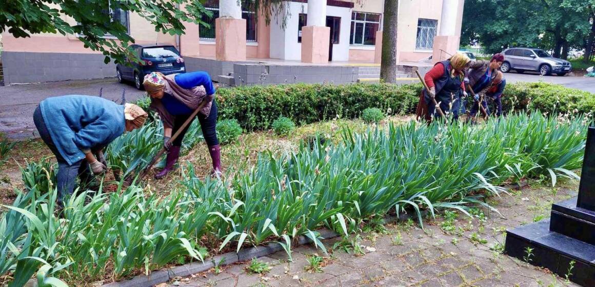 У Вінницьких Хуторах висадили півтисячі кущів троянд