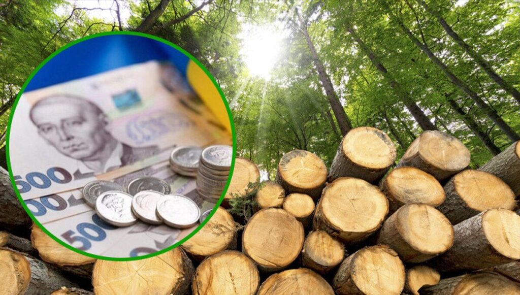 На Вінниччині чоловік продавав ліс за гроші