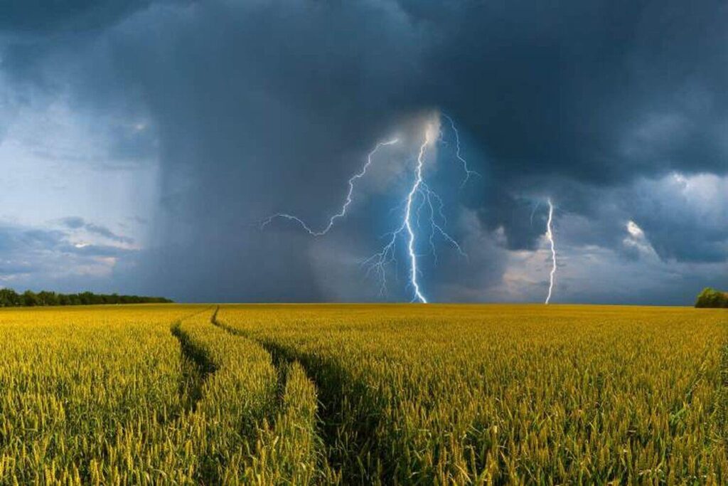 На Вінниччині прогнозують грози та сильний вітер