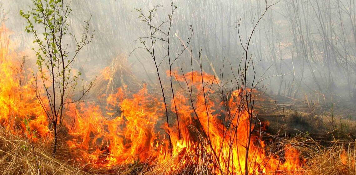 Жителів Вінниччини попереджають про надзвичайну пожежну небезпеку