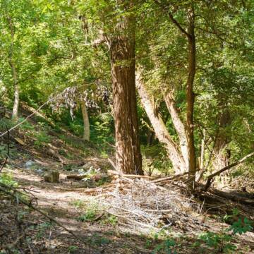 У Вінниці розробляють план регулярного догляду за малими річками