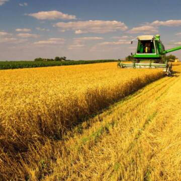 На Вінниччині завершили збирати ранні зернові та зернобобові культури