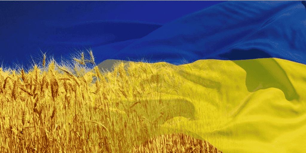 У вінницьких школах проходить традиційний патріотичний марафон