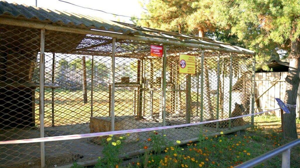 У вінницькому зоопарку завершують будівництво вольєра