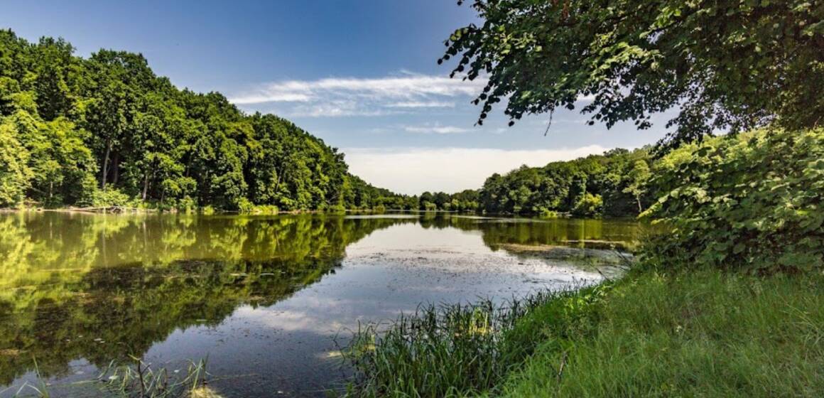 Програма охорони навколишнього природного середовища Вінниці продовжує діяти до 2025 року