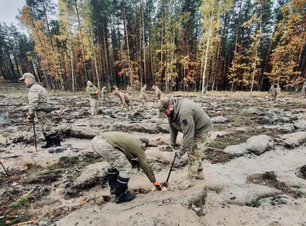 Військові з Вінниці висадили пʼять гектарів лісу