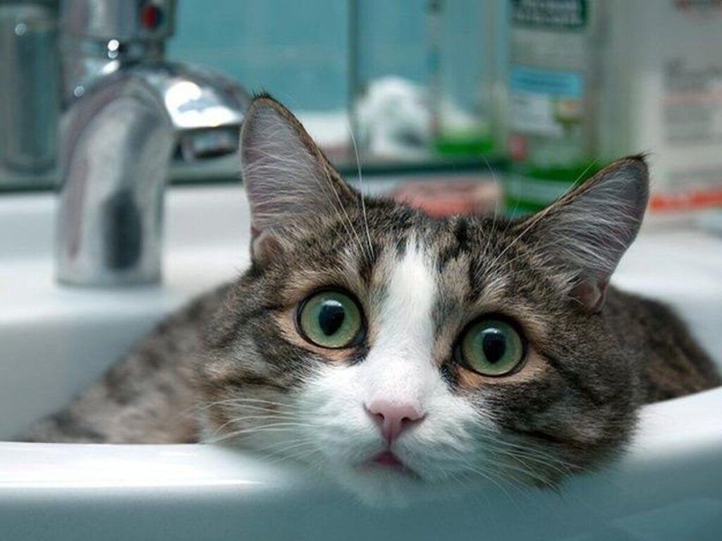 Перелік адрес, де у Вінниці відключили воду та світло 3 листопада