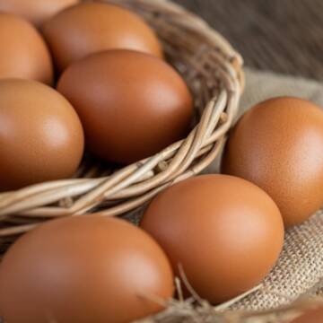 Яйця та птиця з Чехії заборонили ввозити в Україну: причина