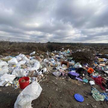 У Вінницькій області екологи виявили десять незаконних сміттєвих звалищ
