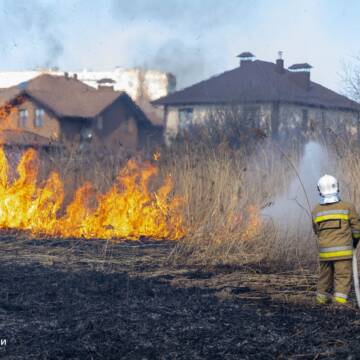 Пожежа на Вишенському озері: стали відомі подробиці
