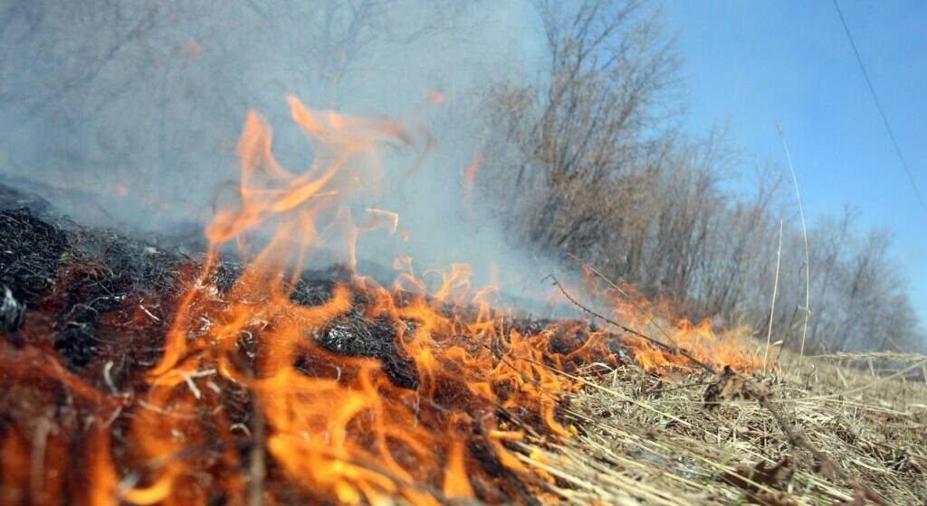 На Вінниччині внаслідок спалювання сухої трави загинув чоловік