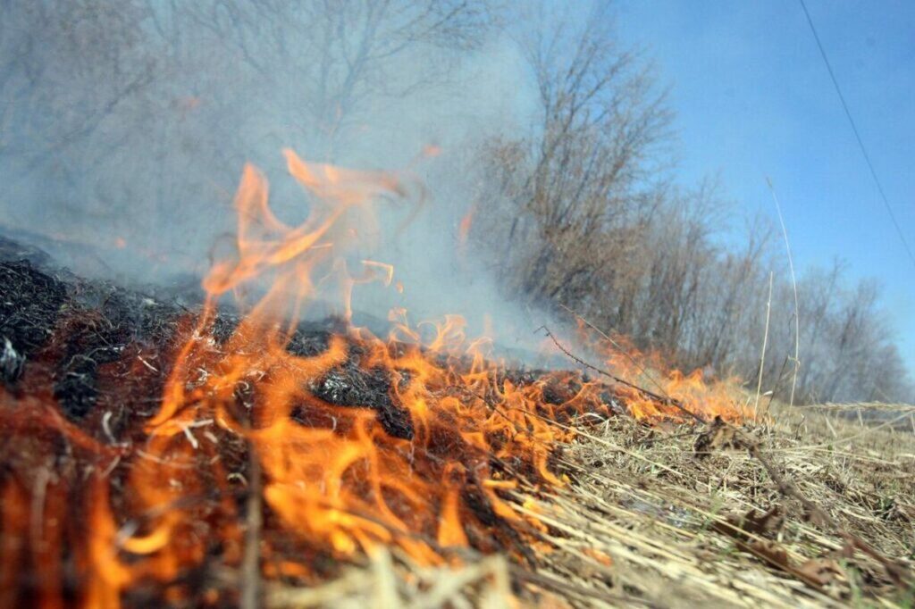 На Вінниччині внаслідок спалювання сухої трави загинув чоловік