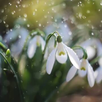 Прогноз погоди на березень: коли настане справжня весна?