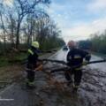 Негода в Україні: знеструмлені 130 населених пунктів, ДСНС прибирає повалені дерева (Відео)