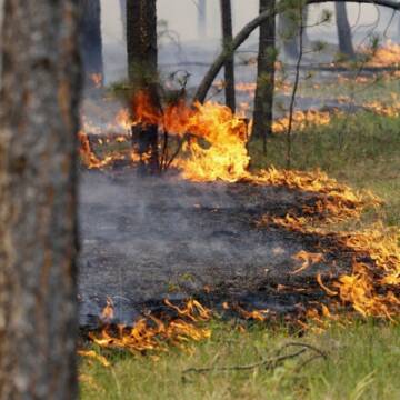 Надзвичайний рівень пожежної небезпеки: попередження від рятувальників Вінниччини