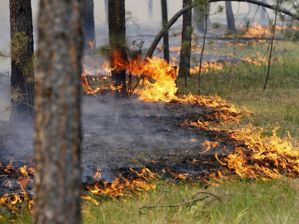 Надзвичайний рівень пожежної небезпеки: попередження від рятувальників Вінниччини