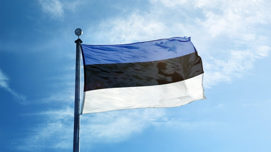 Естонія передасть Україні засоби для посилення кіберпростору