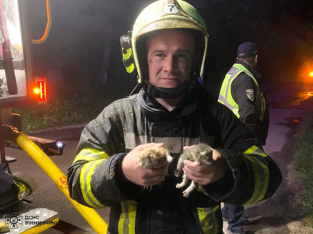 На Вінниччині рятувальники витягнули із вогню новонароджених кошенят