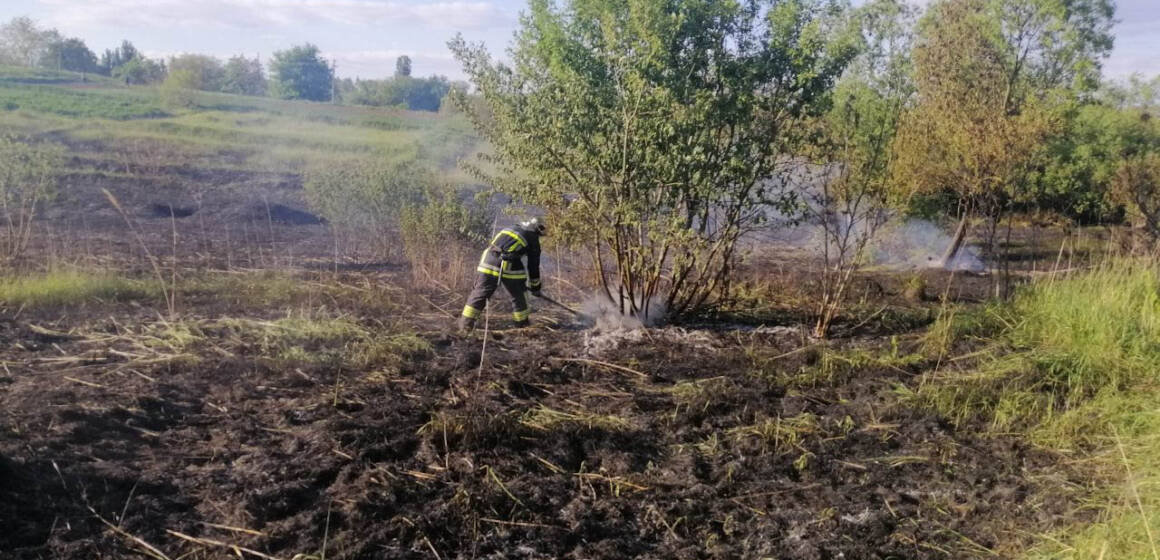 Сім екосистемних пожеж зафіксовано за добу на Вінниччині